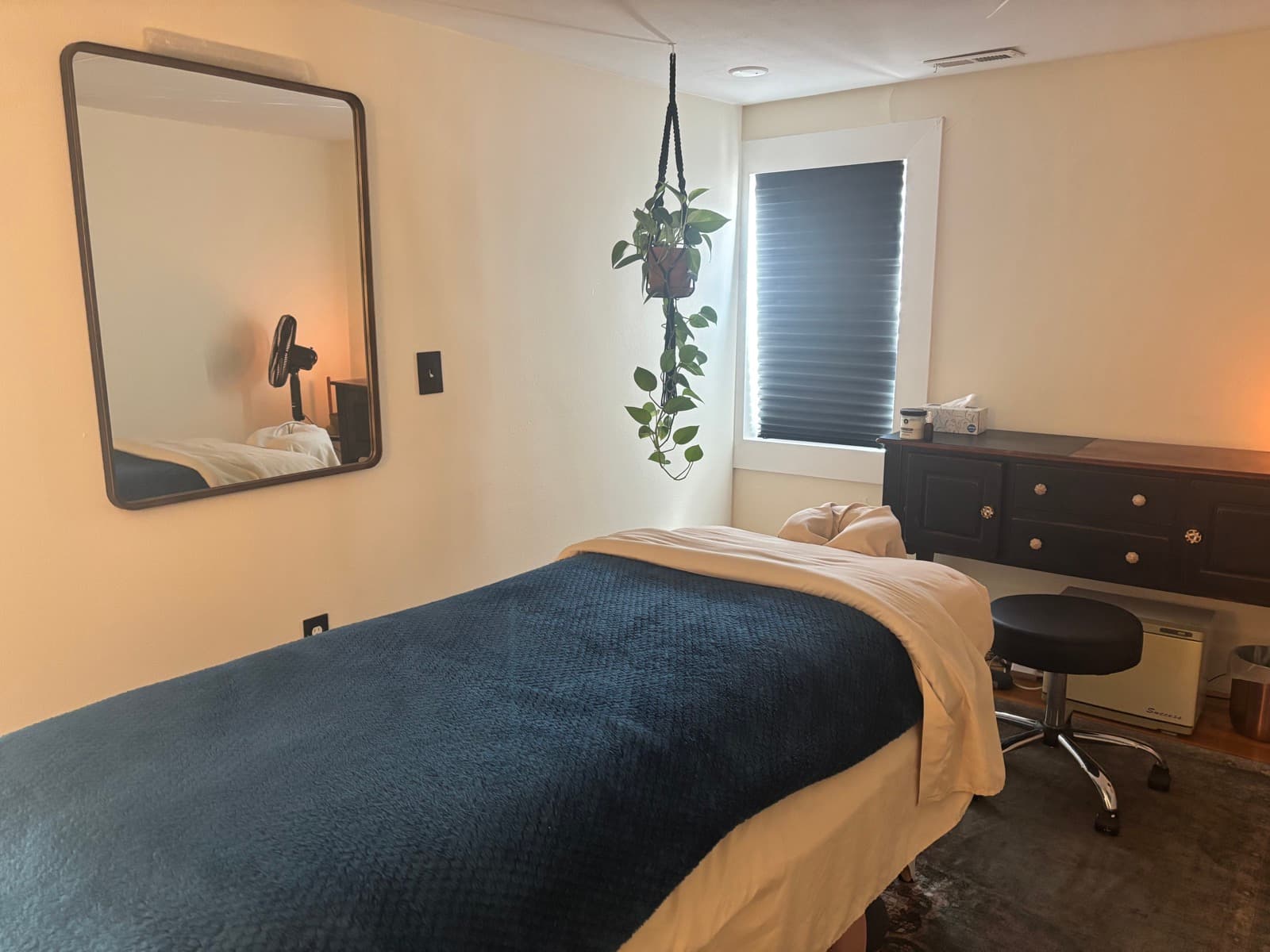 Treatment room details — dresser, mirror, and plants